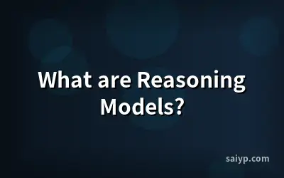 What are Reasoning Models?