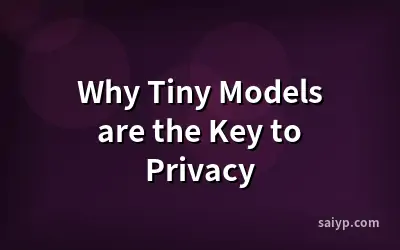 Why Tiny Models are the Key to Privacy