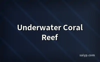 Underwater Coral Reef